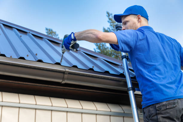 Best Chimney Flashing Repair  in Prior Lake, MN